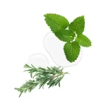 Serum za obnovu kose Kallos Ružmarin - 50 ml - Slika 2